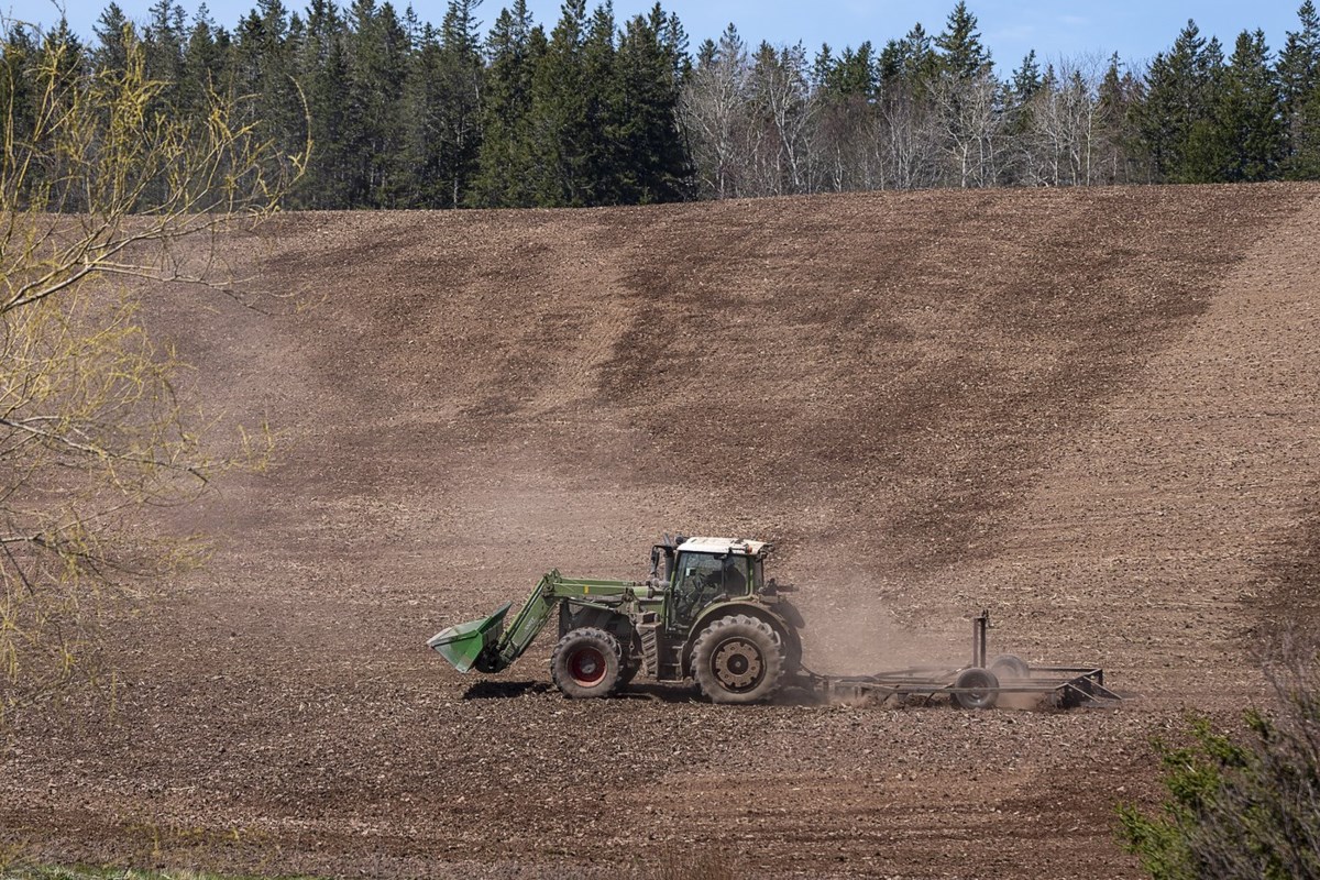As N.S. farmers struggle, report urges steps to help increase stagnant local sales