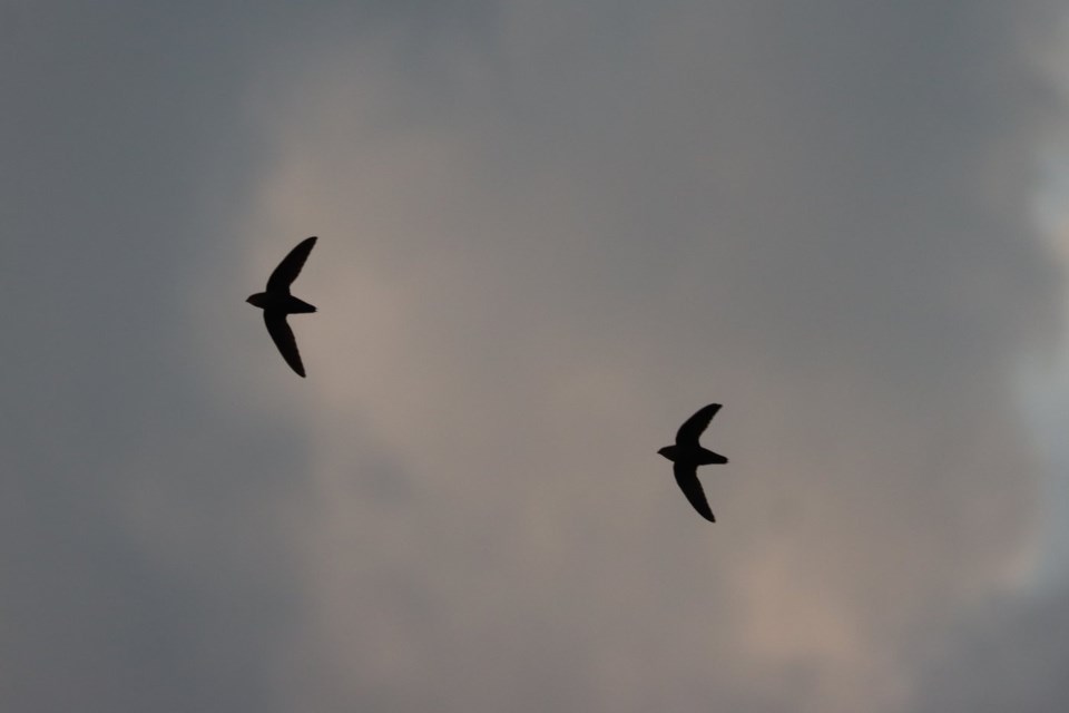 7d0bc3eb5af7662d39873dc770c28aa5a8f271da2079a2e1756c9351007cc007