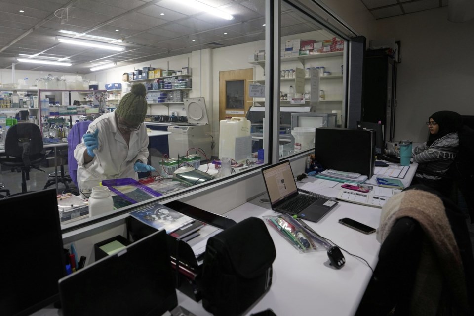 A laboratory technician Nozipho Mlotshwa works on samples at the Wits laboratory Antiviral Gene Therapy Research Unit, at University of the Witwatersrand Medical School, in Johannesburg, South Africa, Friday, May 23, 2025. (AP Photo/Themba Hadebe)