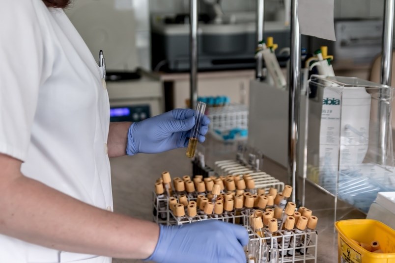 lab