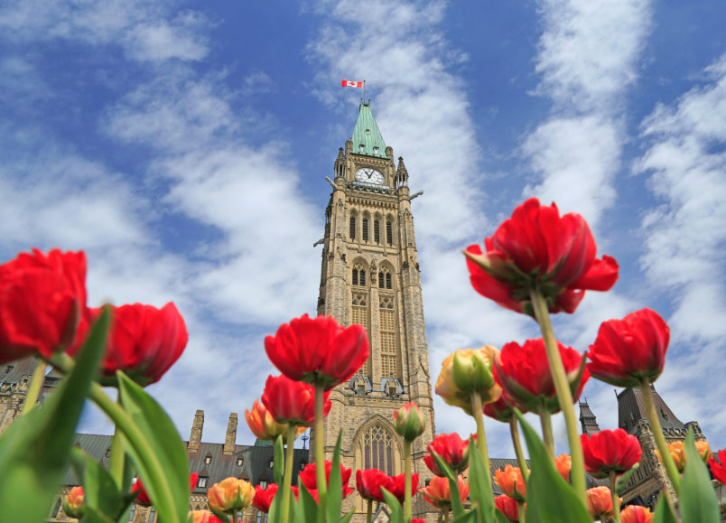 parliament-hill