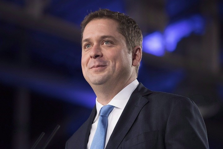 scheer