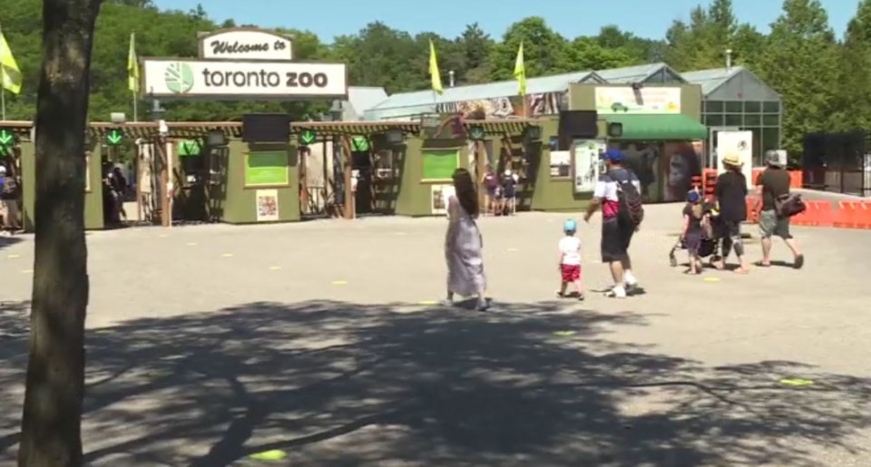 toronto-zoo