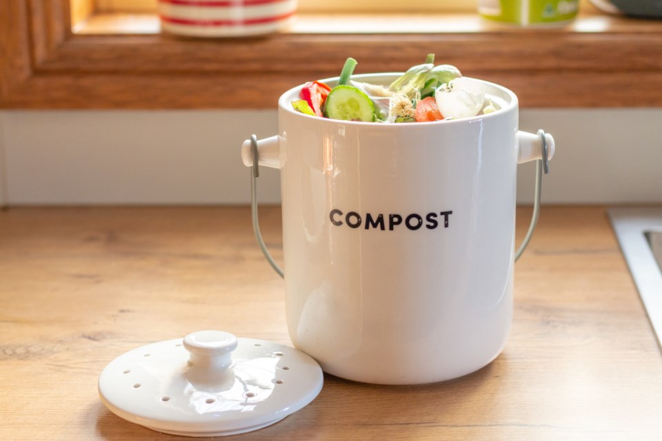 compost AdobeStock_240057714