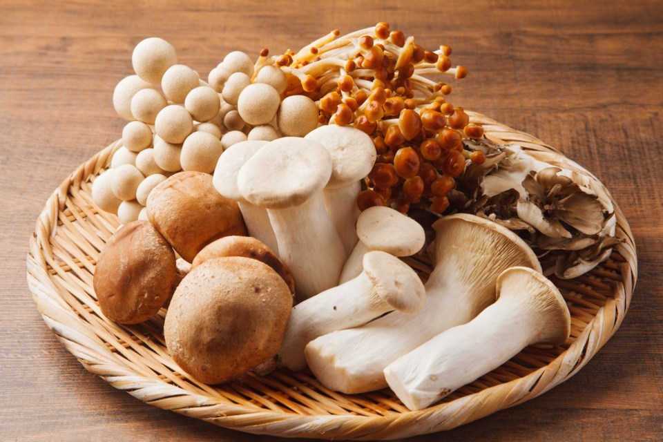 mushrooms AdobeStock_91746037