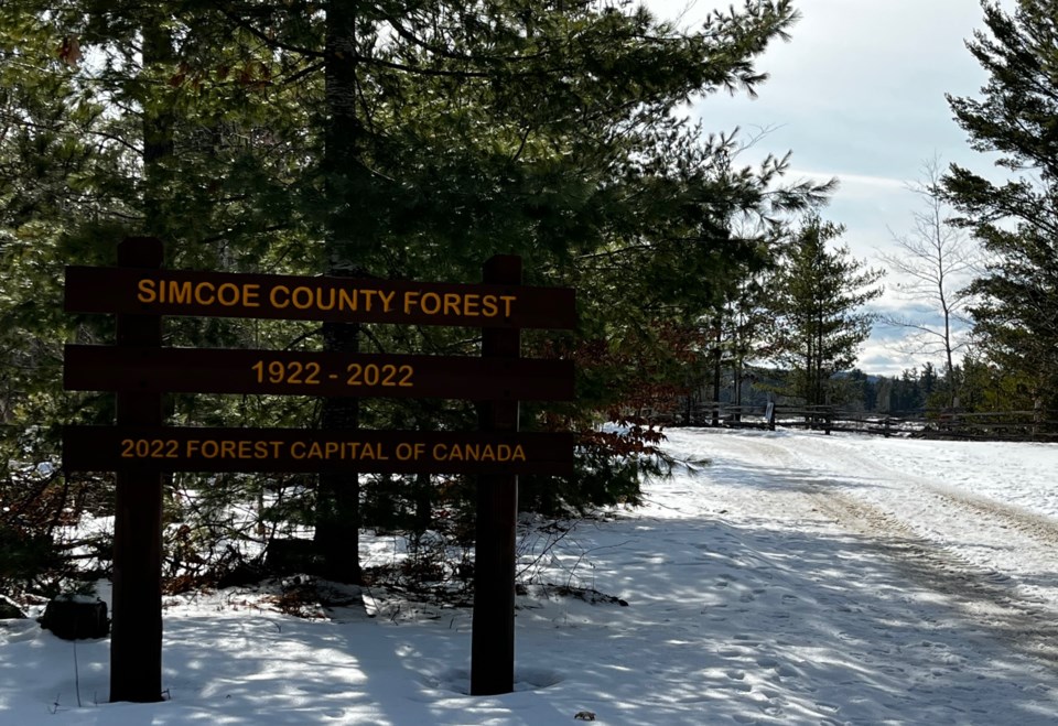 USED 02212023countyforestmbo