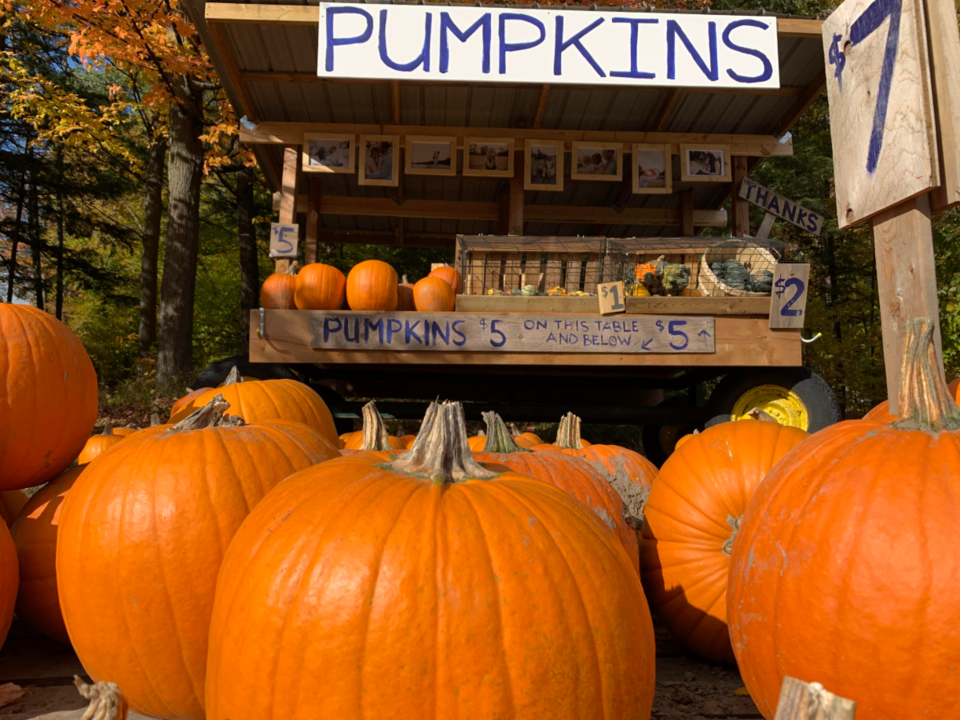 USED 2019-10-15 Pumpkin stand RB