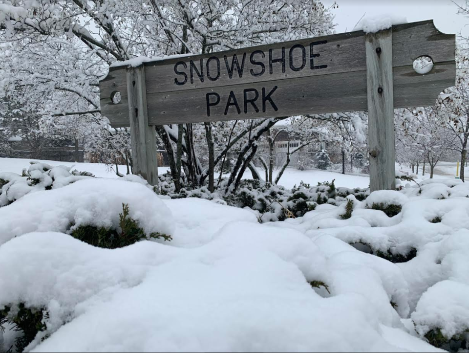 USED 2019-12-15 Snowshoe Park