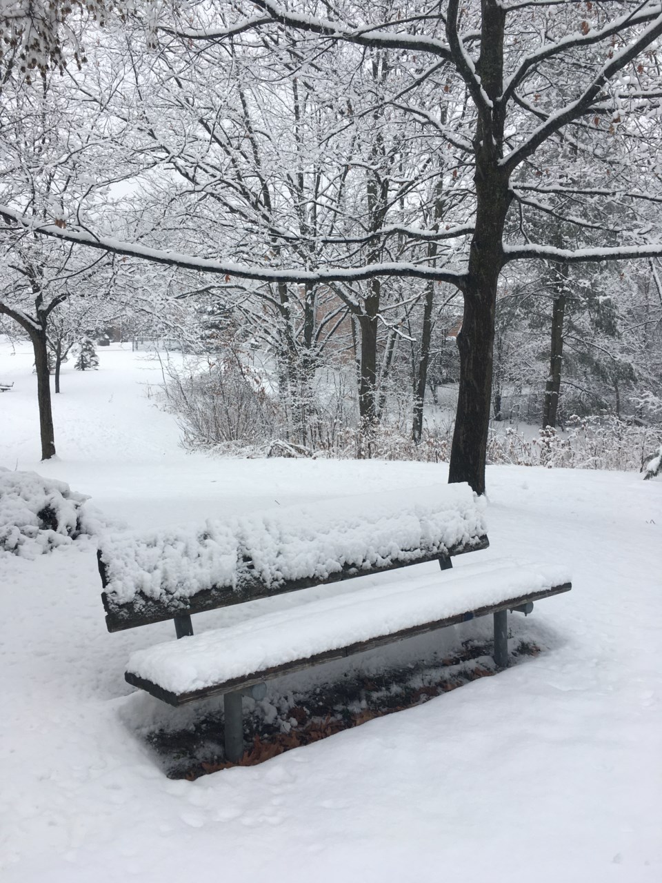 USED 2020-12-27 Snow bench