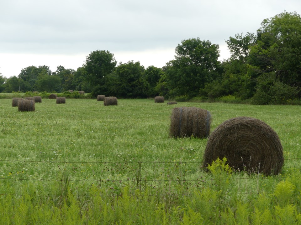 USED 2018-08-31-hay bales