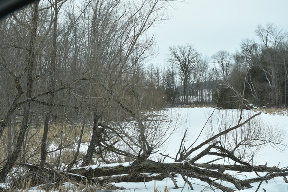USED 2019-02-19-fraser creek winter