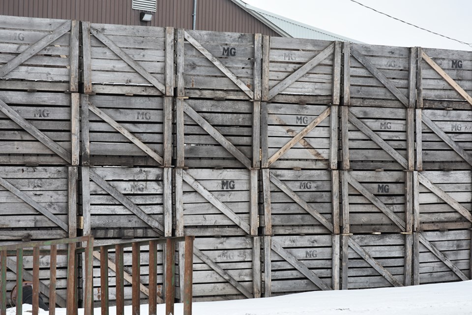 USED 2019-02-19-holland marsh crates