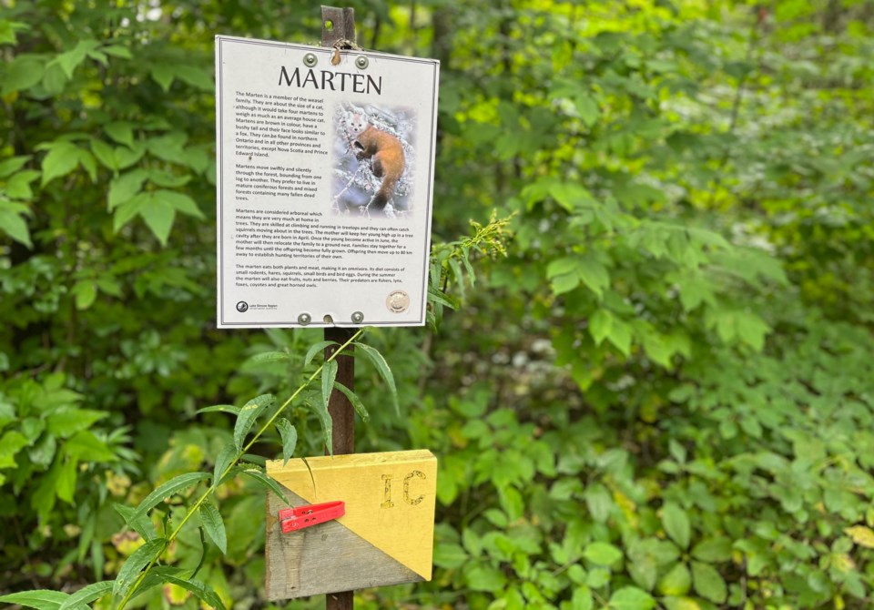 USED 2023-09-25-gm-bt-marten-sign-at-scanlon-creek-natasha
