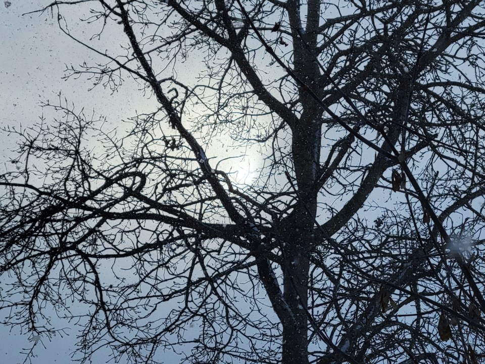 USED 0 2023-12-15-good-morning-sun