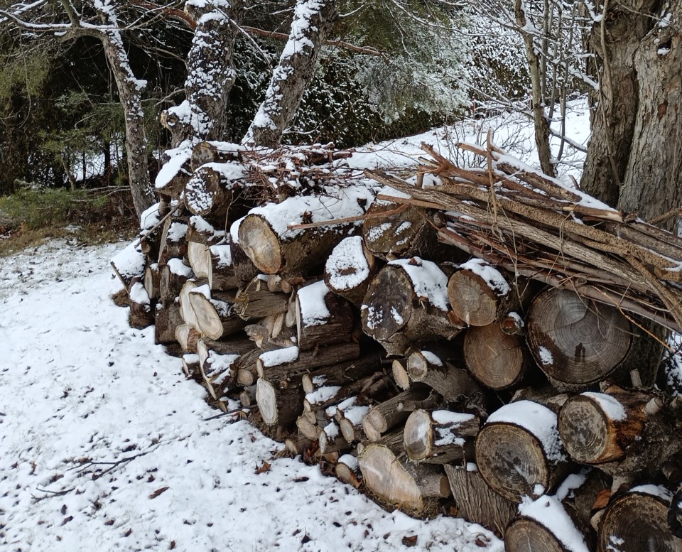 USED2024-01-12-good-morning-firewood-1