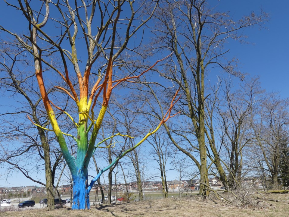 USED Rainbow tree 2