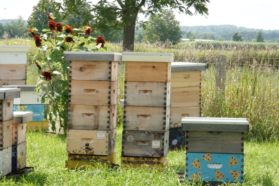 USED 2023-08-16-gm-honeybeehivesjs