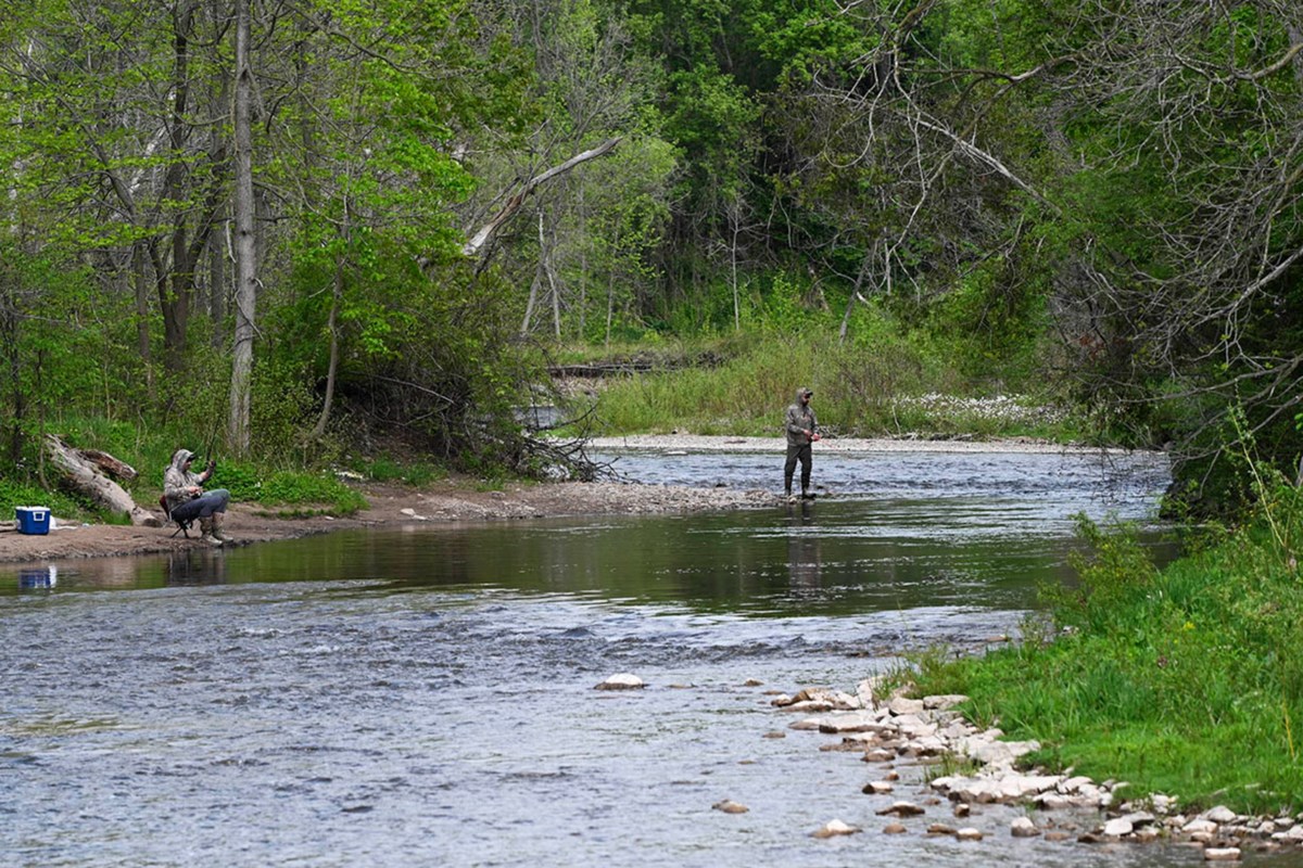 Watershed report highlights threats and solutions for Credit River