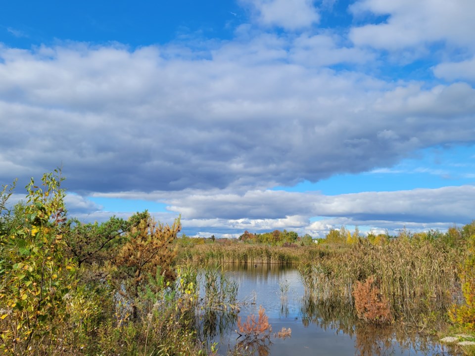 USED 0 2023-10-16-stormwater-pond