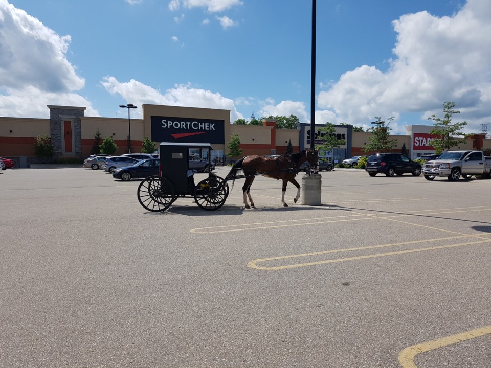 GM August 21 2019