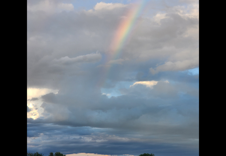 USED 09192022 rainbow(1)