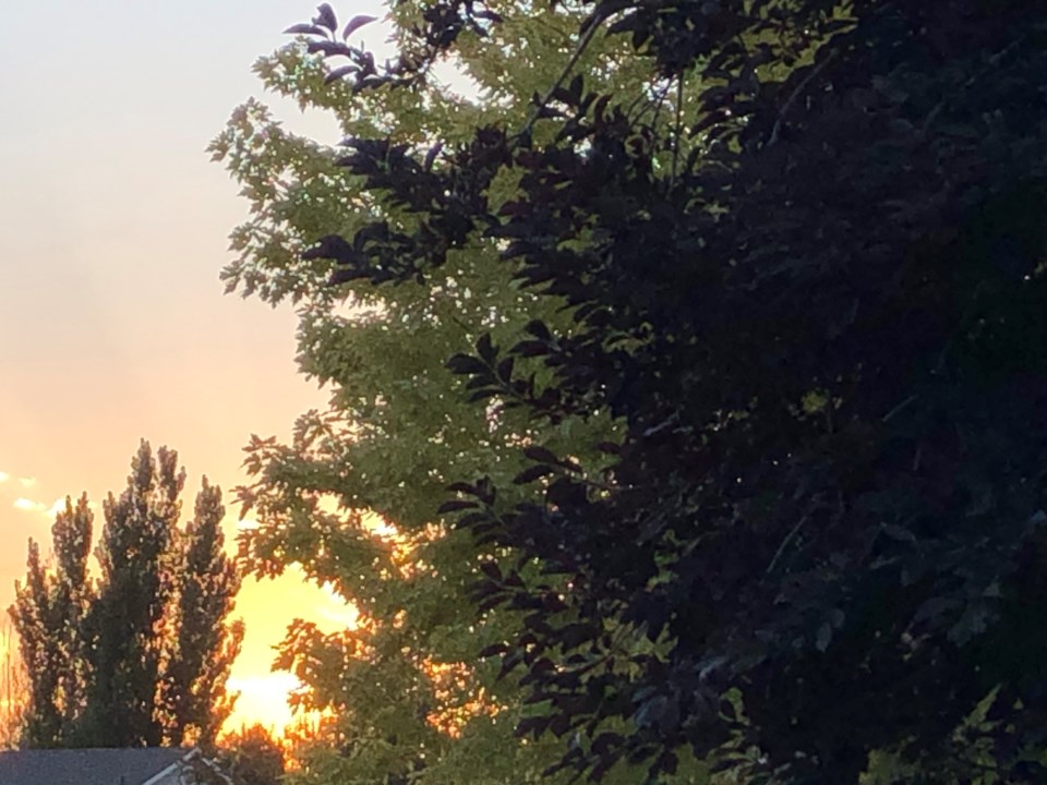 USED 2021-09-14 fall sunset