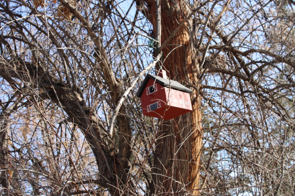 USED 3.20.21 good morning barn in a tree