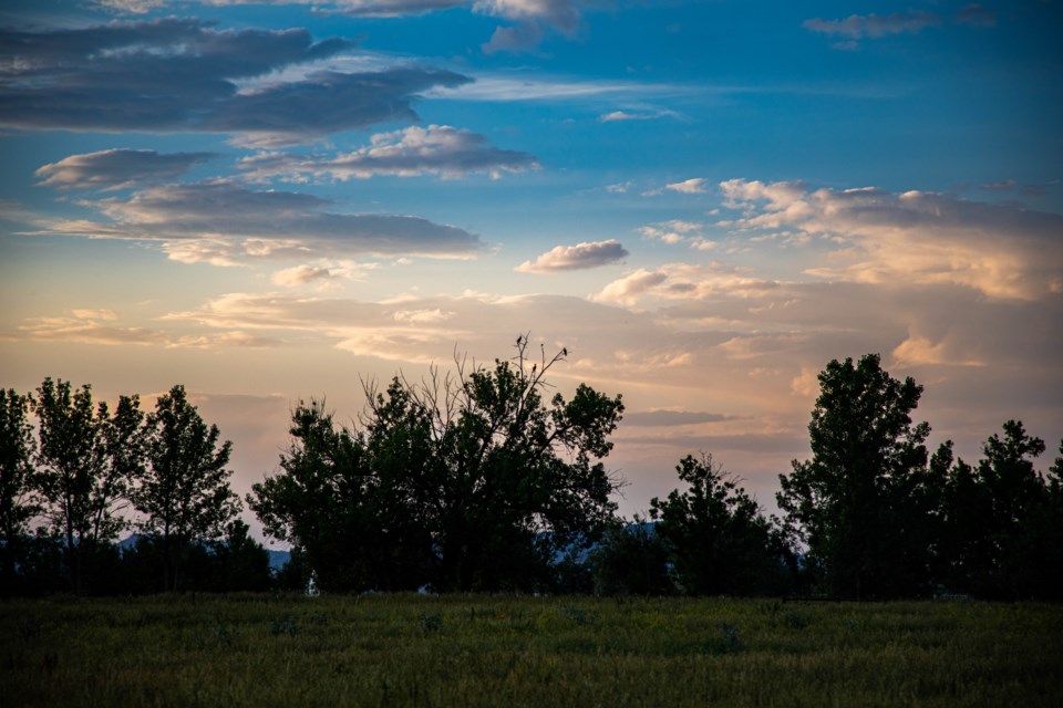 USED 1Lagerman Sunset 6-22 (3 of 4)