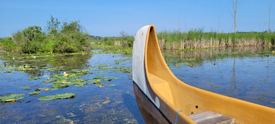 USED 2023-07-17-gm-canoe-at-wye-marsh-en