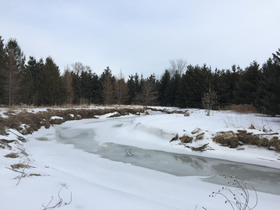 USED 2019 02 18 icy creek DK