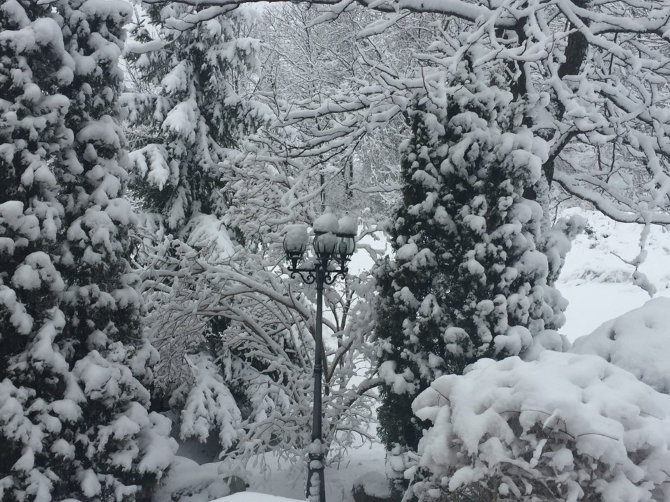 USED 2019 12 04 snowy backyard DK