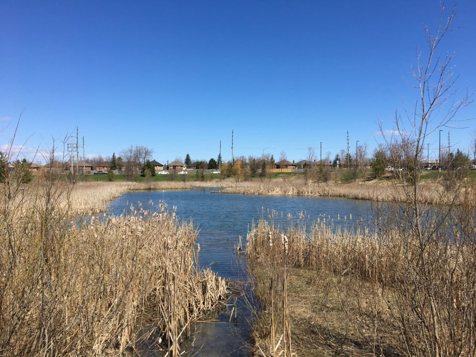 USED 2019 04 30 blue sky Magna pond AK