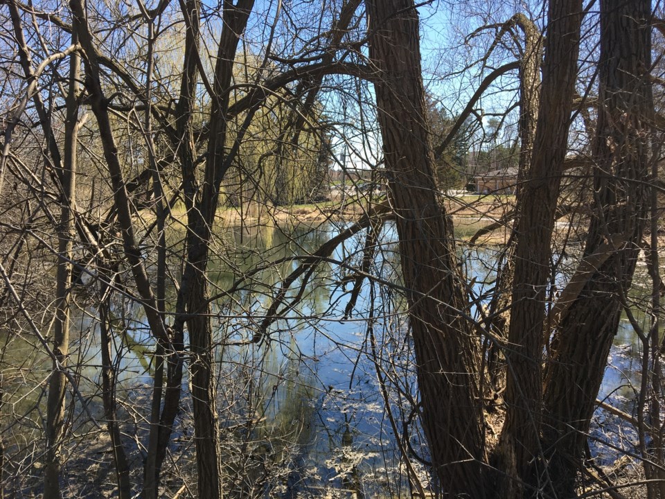 USED 2019 04 30 pond through the trees AK