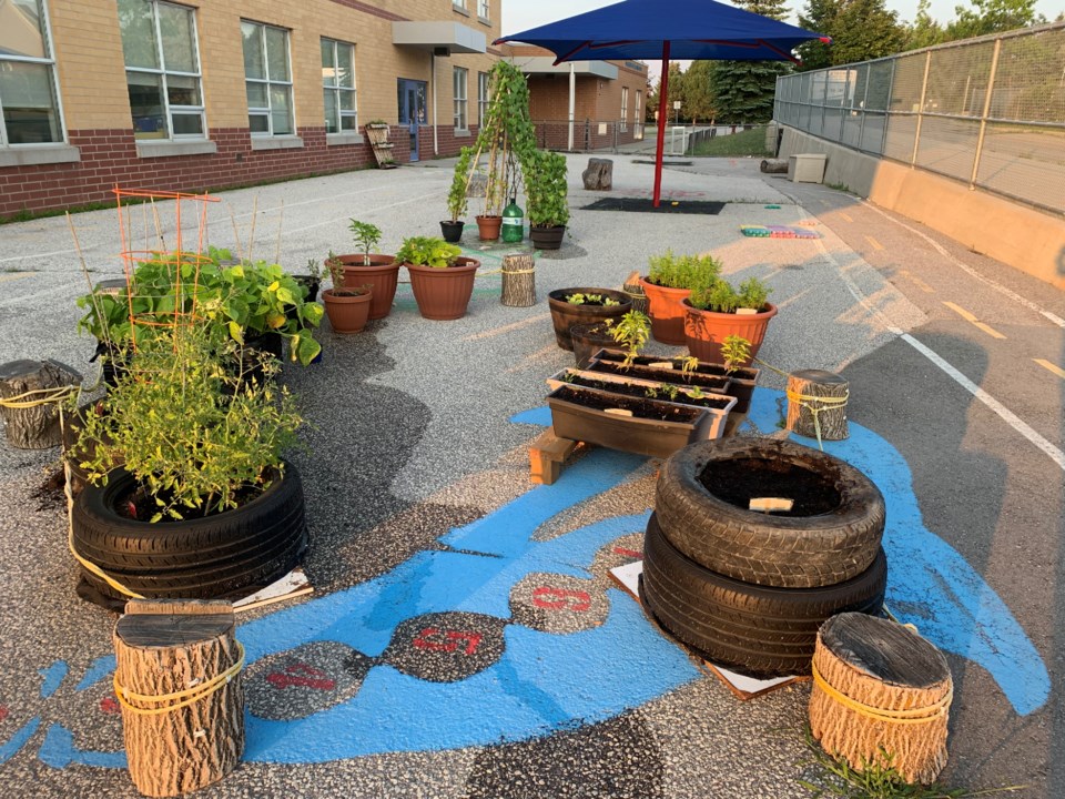 USED 2019 07 26 Stonehaven PS pavement garden DK