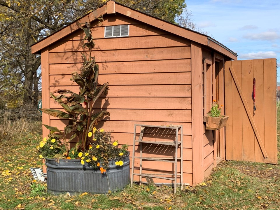 USED 2019 10 28 community garden shed DK