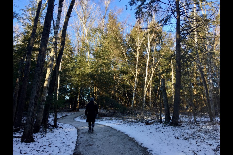 Winter walk on the Dave Kerwin Trail. Debora Kelly/NewmarketToday