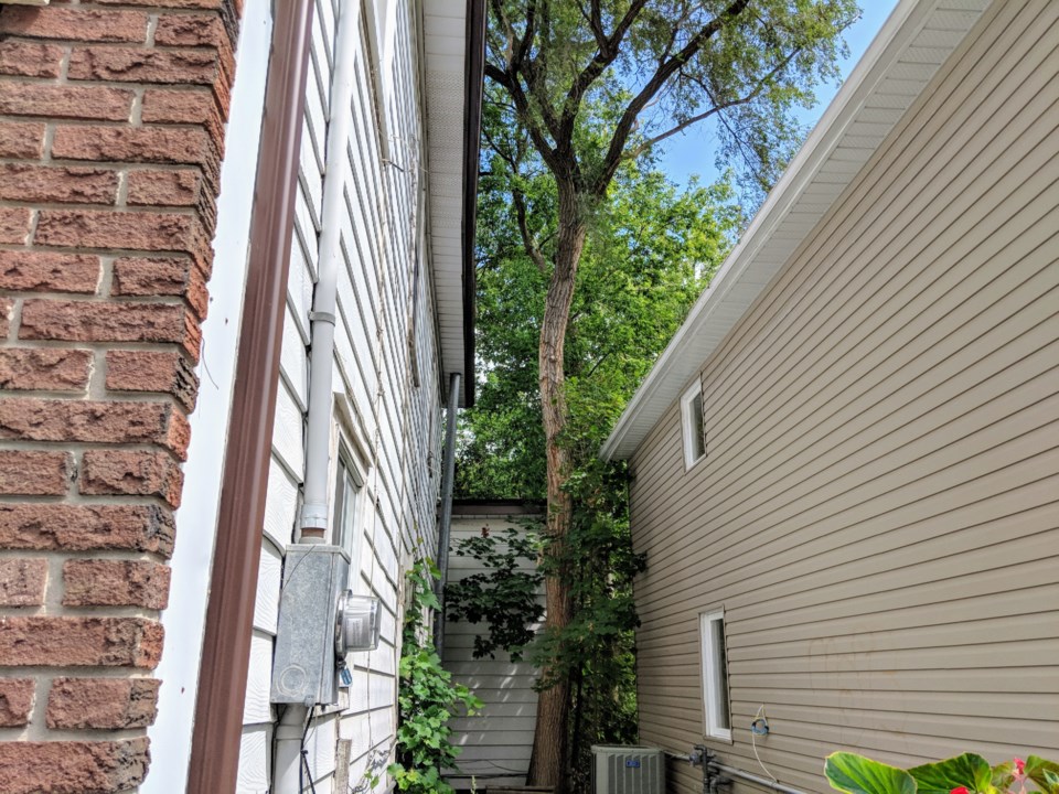 USED 20190823 tree between the rows kc