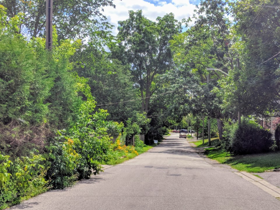 USED 20190823 tree lined street Downtown kc