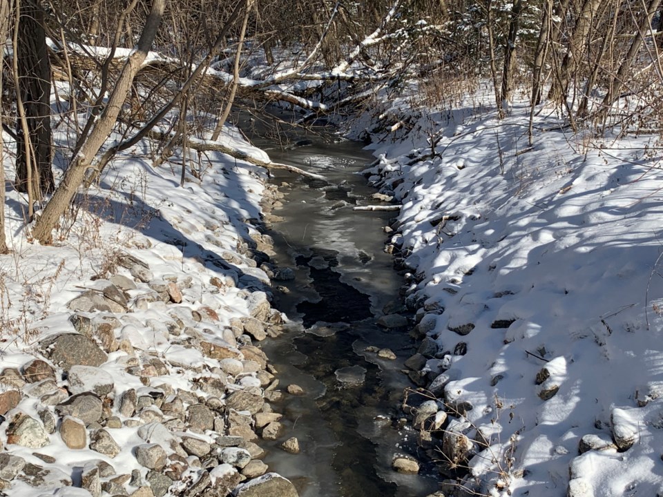 USED 2020 02 17 icy stream Queen St DK