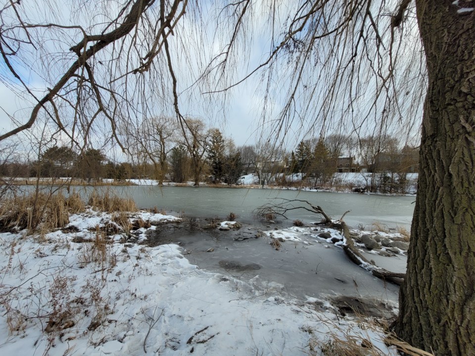 USED 2021 12 29 frozen pond