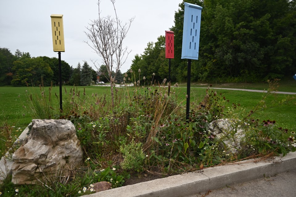 USED 20220912-Ken Sturgeon Park Butterfly Park Garden - JQ