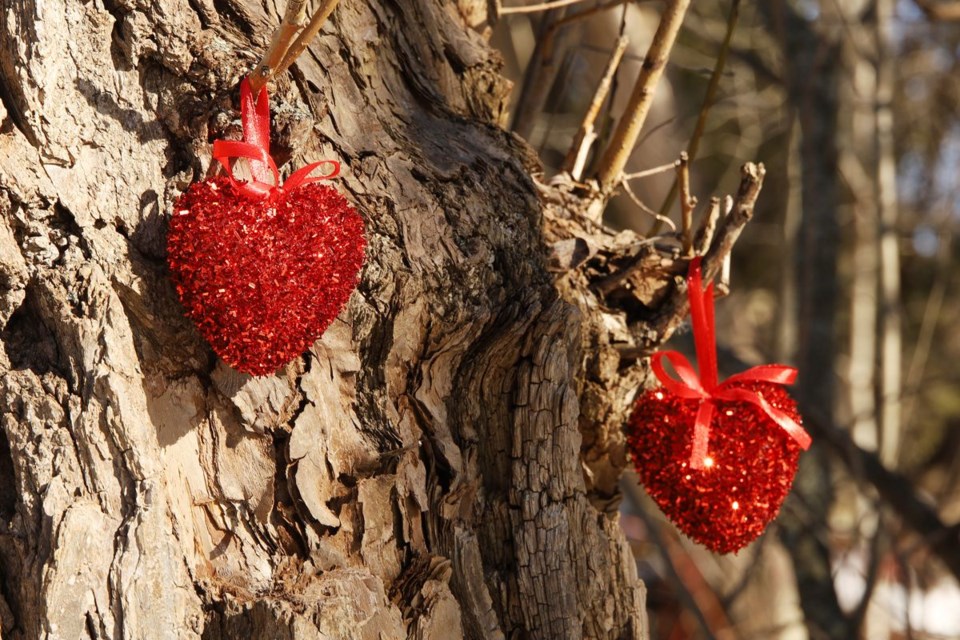 USED 20230204-tree-heart-decorations-gk