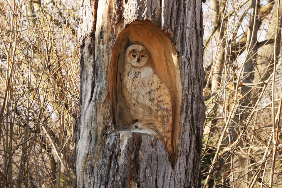 USED 20240328-carved-owl-gk