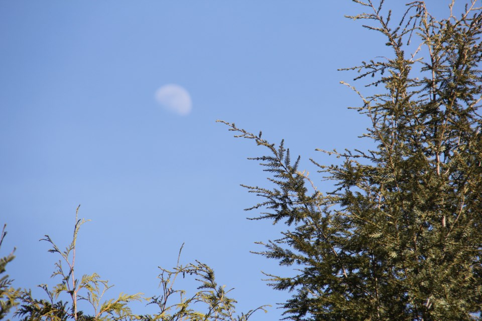 USED 2018-04-19goodmorning  9 Moon in daytime. Photo by Brenda Turl for BayToday.