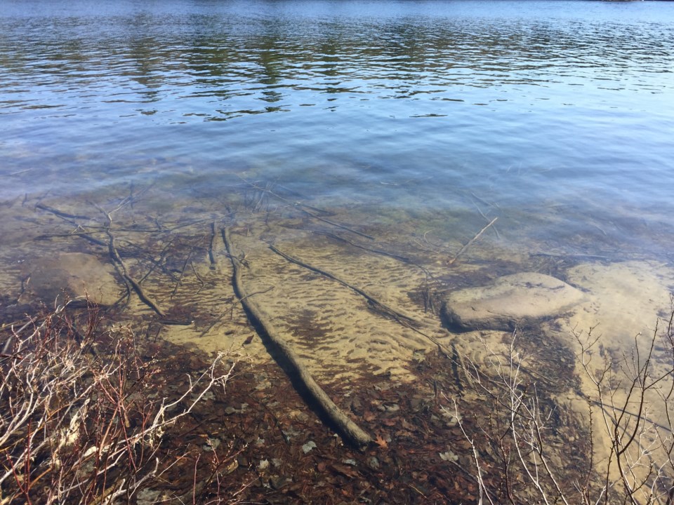 USED 2018-05-31goodmorning  9 Clear waters of Trout Lake. Photo by Brenda Turl for BayToday.