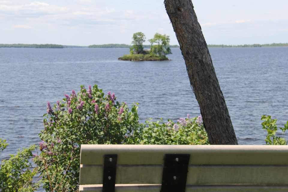 USED 2018-06-28goodmorning  1  A serene place to collect your thoughts. Photo by Brenda Turl for BayToday.