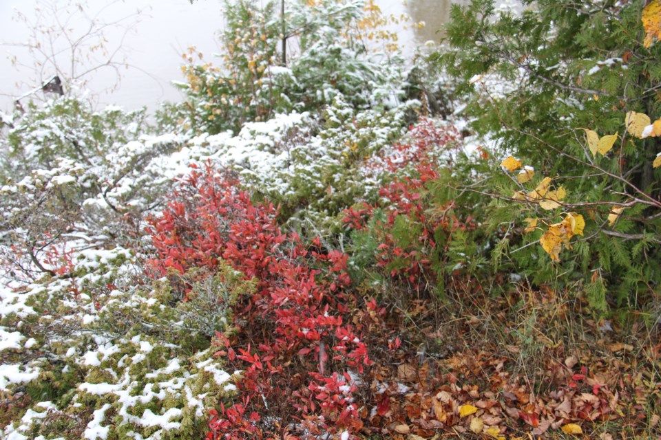 USED 2018-11-01goodmorning  1 A dusting of snow. Photo by Brenda Turl for BayToday.