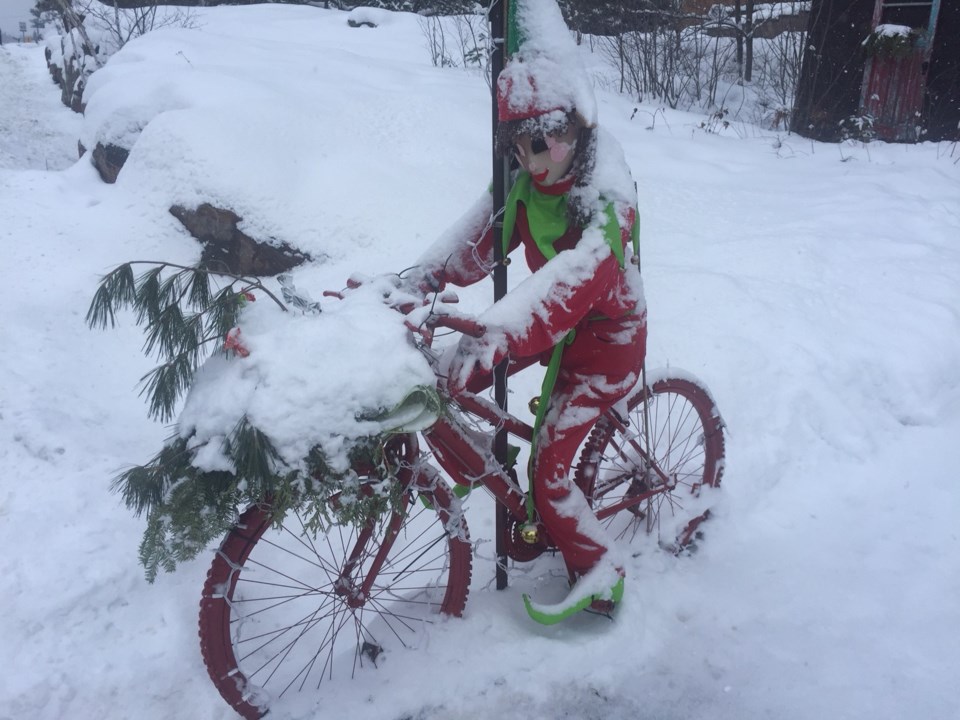 USED 2018-12-13goodmorning  3 Christmas elf biking in the snow. Photo by Brenda Turl for BayToday.