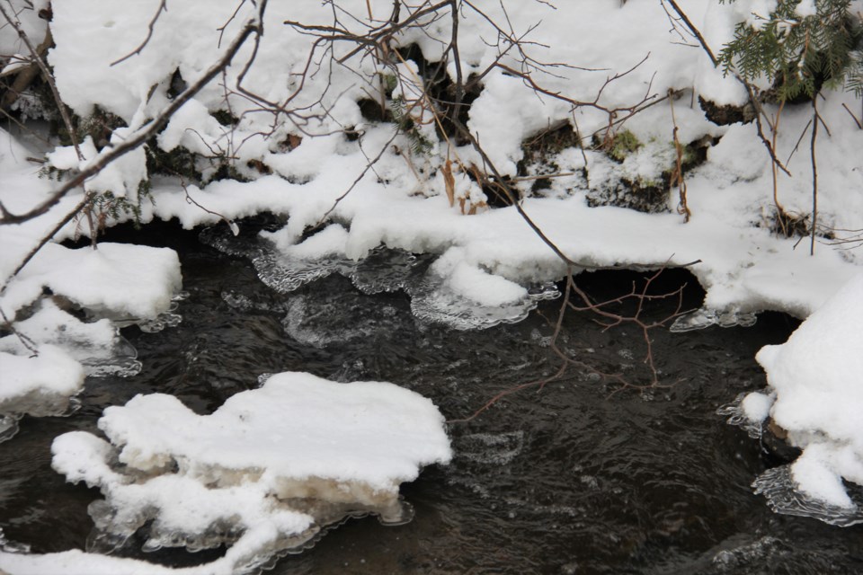 USED 2019-01-24goodmorning  2 Trickling water in winter. Photo by Brenda Turl for BayToday.