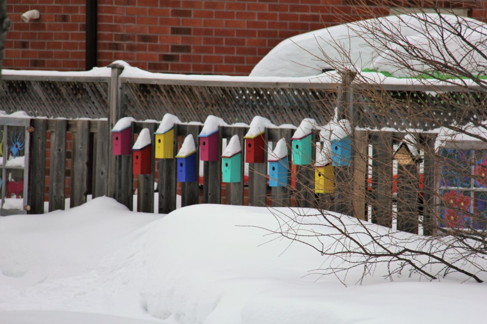 USED 2019-02-28goodmorning  2 Colourful houses. Photo by Brenda Turl for BayToday.